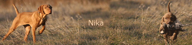 Nika